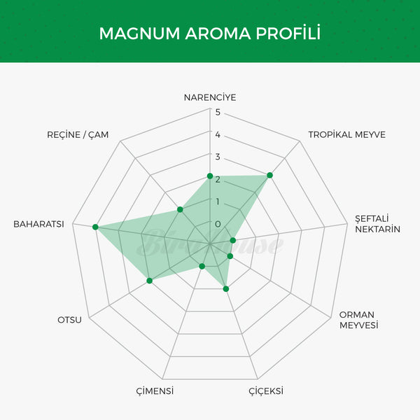 Magnum Şerbetçi Otu