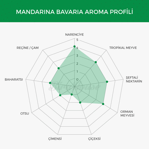 Mandarina Bavaria Şerbetçi Otu