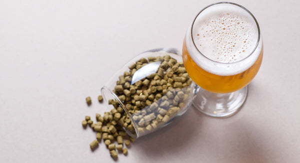 Bira Kiti ile Şerbetçi Otu Kullanımı: Soğuk Ekleme (Dry Hopping)