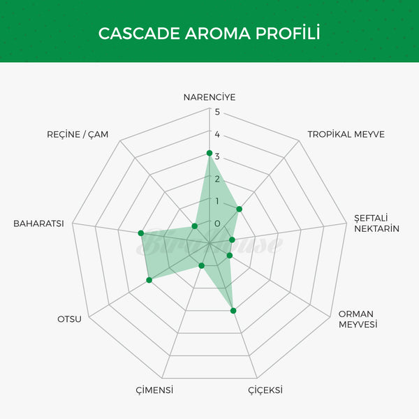 Cascade Şerbetçi Otu