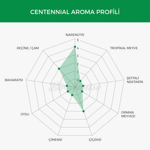 Centennial Şerbetçi Otu